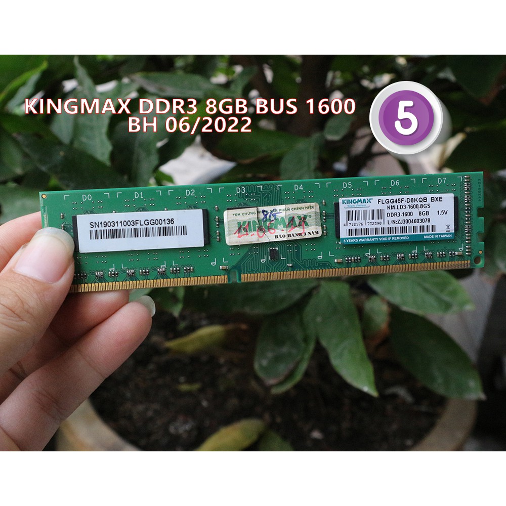 [Mã ELMS05 giảm 5% đơn 300k][HÀNG CHÍNH HÃNG] RAM PC 4GB/8GB DDR3 BUS 1333 1600 Kingston, Gskill, Team, Kingmax | BigBuy360 - bigbuy360.vn
