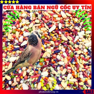 Thức ăn chim cu gáy ngũ cốc 20 loại hạt