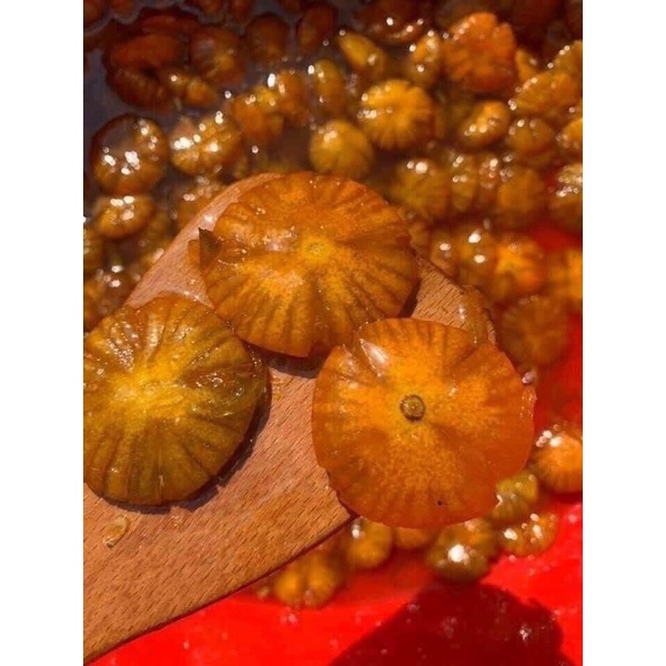 🍊TẮC XÍ MUỘI HOA  ĐƯỜNG PHÈN 🍊