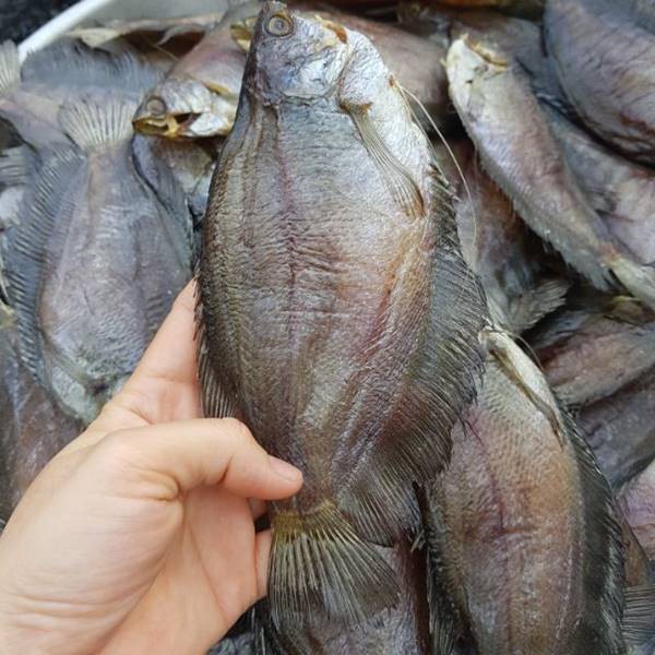 Khô cá sặc rằn Cà Mau ,ướp vị vừa ăn không mặn ,con to, thịt dai thơm , dùng chế biến được nhiều món ngon dân dã