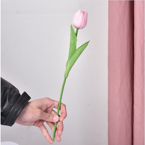 Nhiều màu đẹp _ HOA TULIP / HOA RUM LYLY ĐẸP SỐNG ĐỘNG NHƯ THẬT