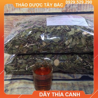 Thìa Canh - Hàng Rừng Hỗ Trờ Tiểu Đường, Mỡ Máu Cao [Ảnh Thật]