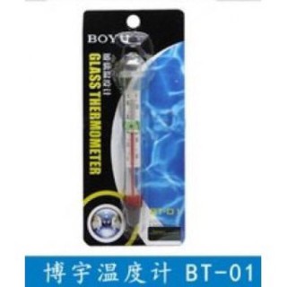 Nhiệt kế boyu bt-01