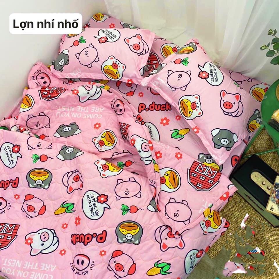 Bộ ga gối poly cotton mẫu lợn hồng