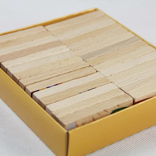 Bộ đồ chơi Domino cho bé