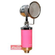 Mic thu âm BM666 và BM600 Có bộ lọc chuẩn