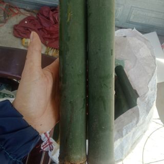 ống nứa nấu cơm lam dài 30