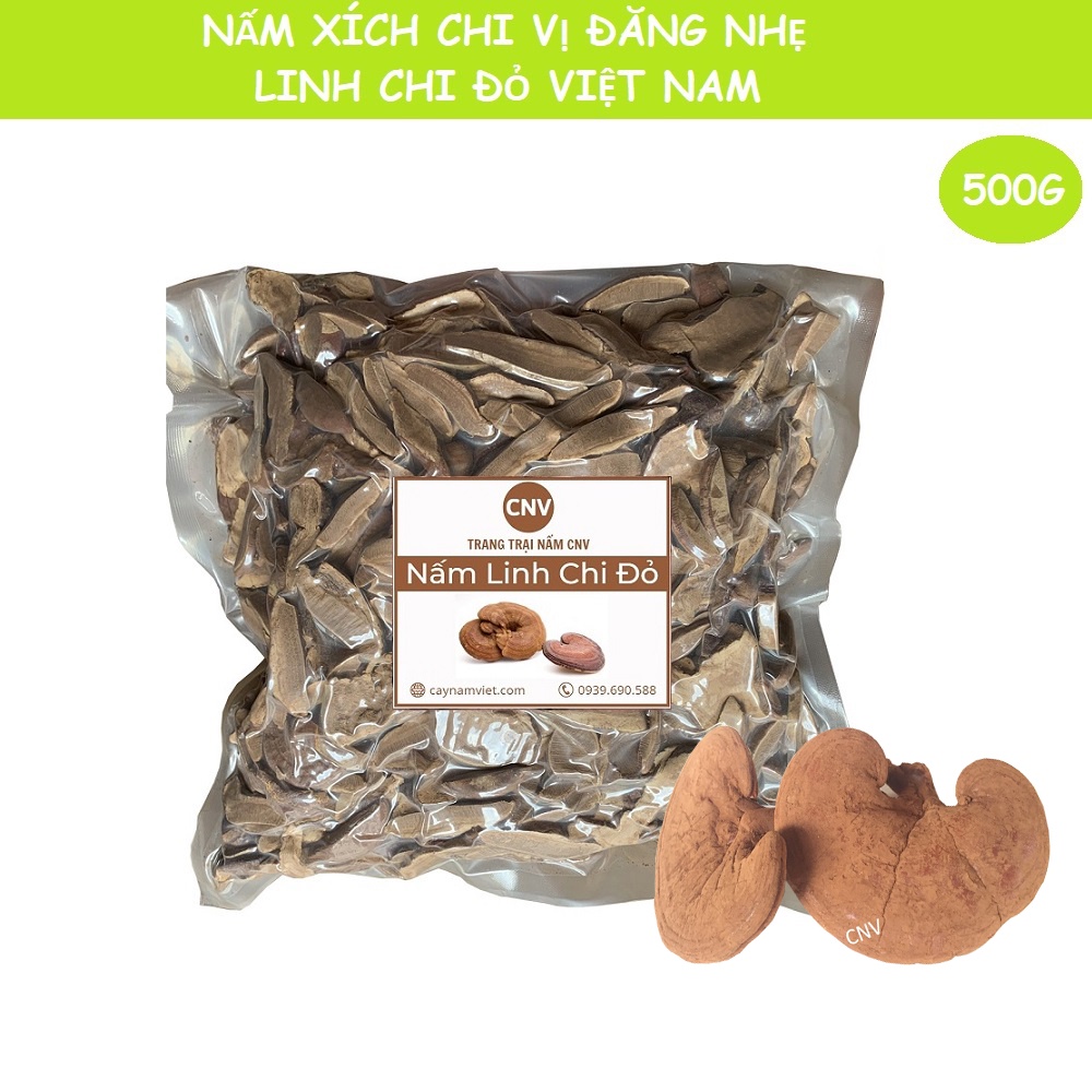 Nấm linh chi đỏ thái lát CNV 500g (Xích chi Việt Nam)