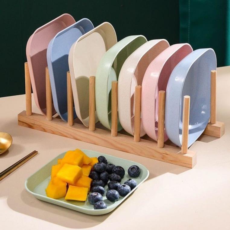 Set 8 đĩa nhựa lúa mạch sinh học an toàn sức khỏe cao cấp ( tuyển khách sỉ)