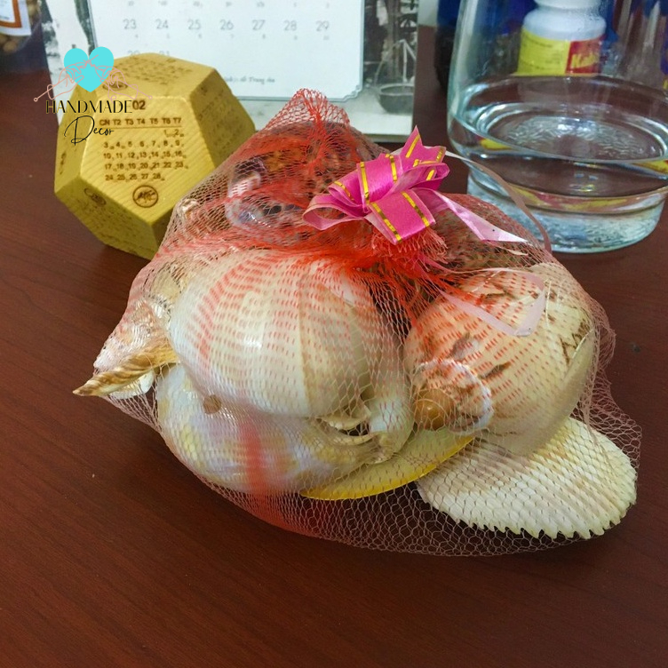 700g Vỏ ốc bộ sưu tập làm quà lưu niệm, trang trí không gian biển