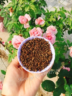 Combo Hạt Dổi Nếp Rừng Và Mắc Khén ( Gia Vị Tây Bắc Loại Ngon )