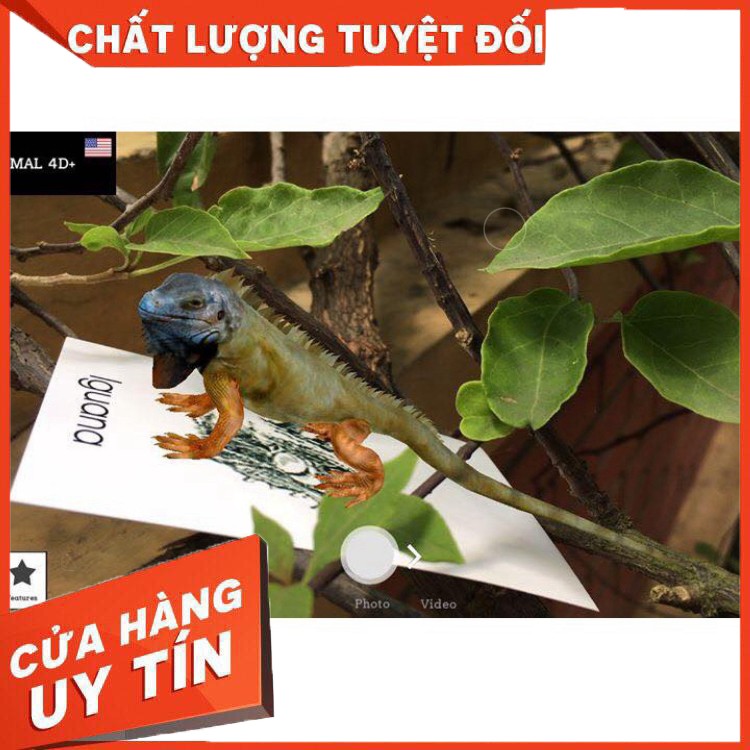 Set 60 thẻ học ngoại ngữ 4D công nghệ 4.0 - Hàng nhập khẩu