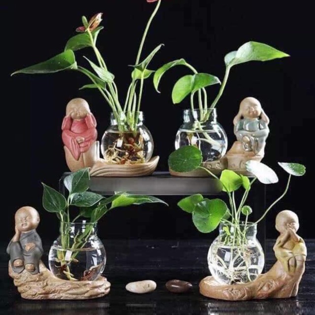 Tượng 4 không bình thuỷ tinh