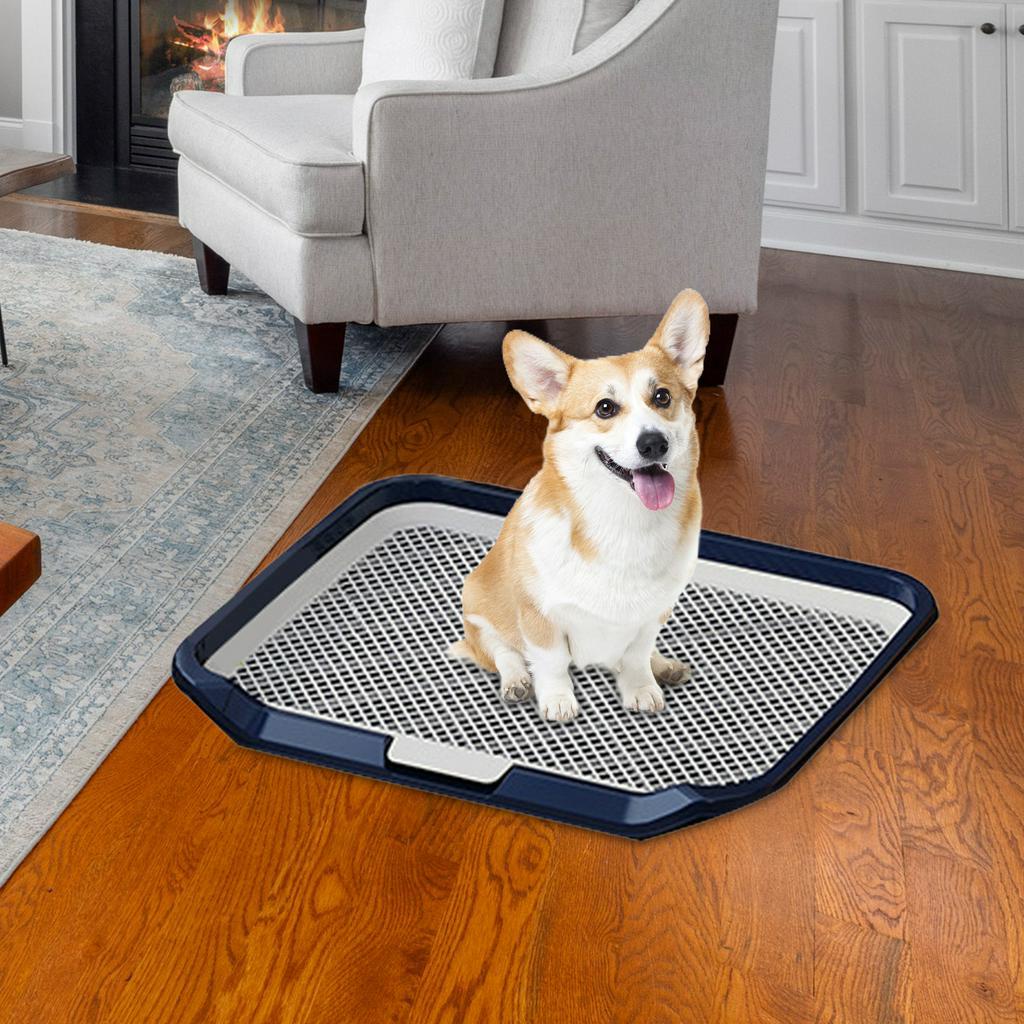 Hộp Đi Vệ Sinh Huấn Luyện Thú Cưng Koolsoo21 Koolsoo21 Kích Thước Nhỏ Và Vừa