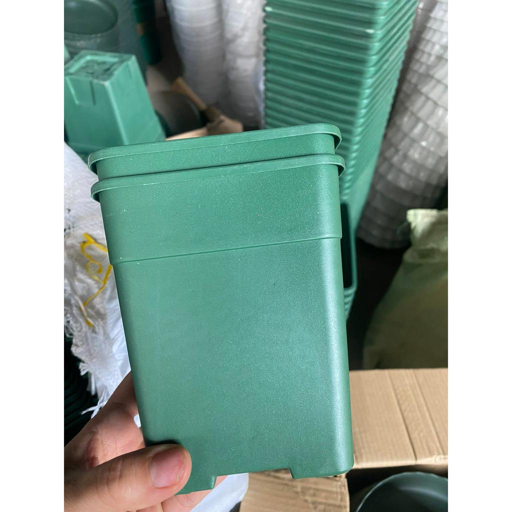 Chậu vuông cao cấp nhập khẩu size 22cm x 22cm GH3