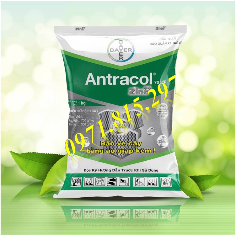 Sản phẩm trừ nấm bệnh cho cây trồng ANTRACOL 70wp
