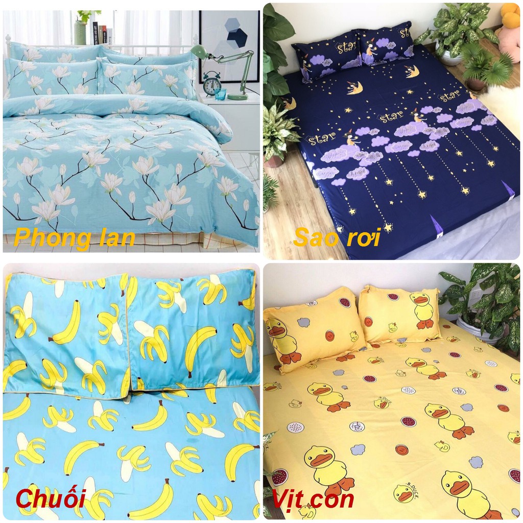 Bộ Ga Chun Kèm Vỏ Gối Poly Cotton m6 và m8 (được chọn mẫu) | BigBuy360 - bigbuy360.vn