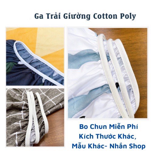 Bộ Chăn Ga Gối Cotton Tici Hizun Mix Color Caro