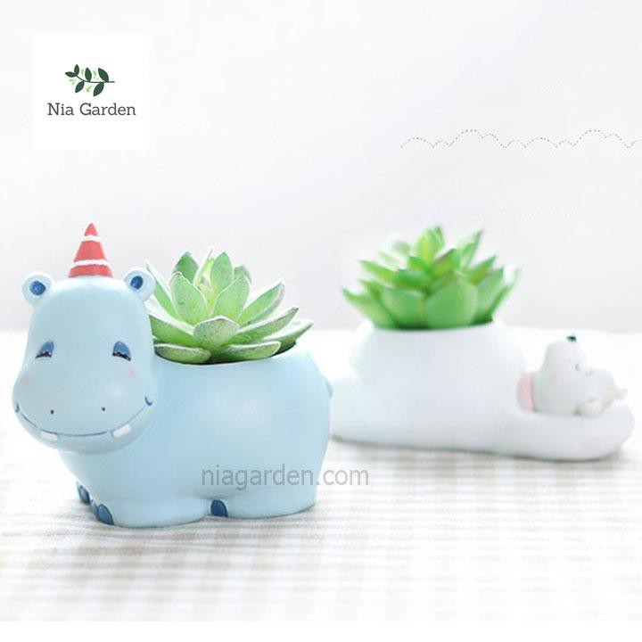 Chậu trồng cây hình thú hà mã xanh trồng sen đá mini xương rồng để bàn Nia Garden N4