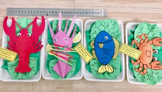 Order Combo cá tôm cua mực đồ chơi mầm non tự làm