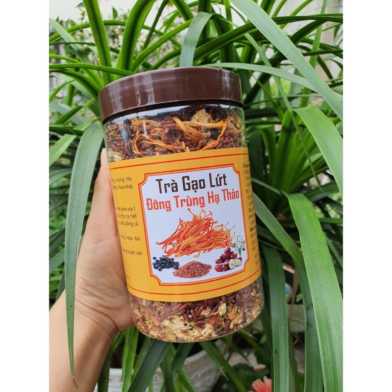 Gạo lứt đông trùng hạ thảo hộp 500g