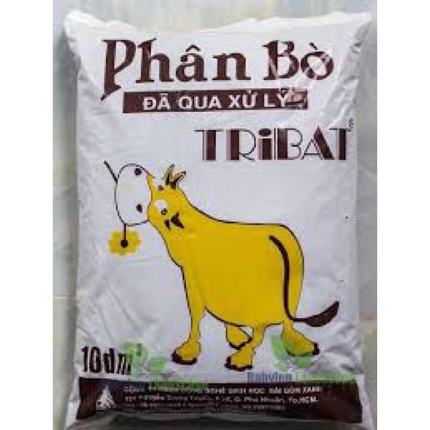 Phân bò tribat
