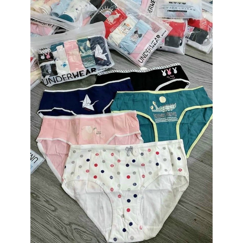 Combo 5 quần chip cotton kute