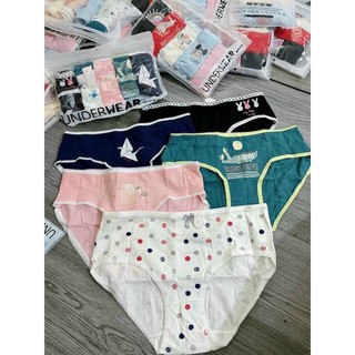 Combo 5 quần chip cotton kute