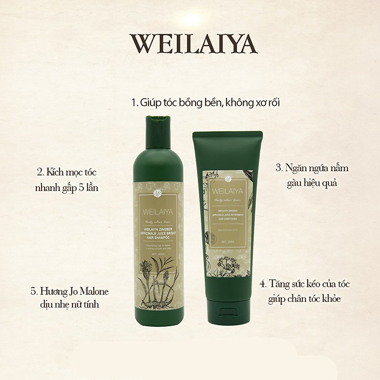 Dầu gội gừng Weilaiya Zuka Beauty tinh chất gừng kết hợp hà thủ ô kích mọc tóc ngăn rụng tóc sạch gàu 400ml  250ml