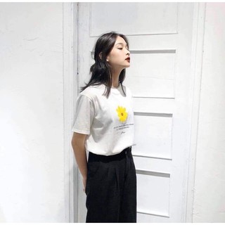 [GIÁ SỈ] Áo thun trắng hoa cúc vàng (Sỉ từ 5sp bất kỳ)