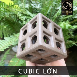 Đồ chơi tép cảnh