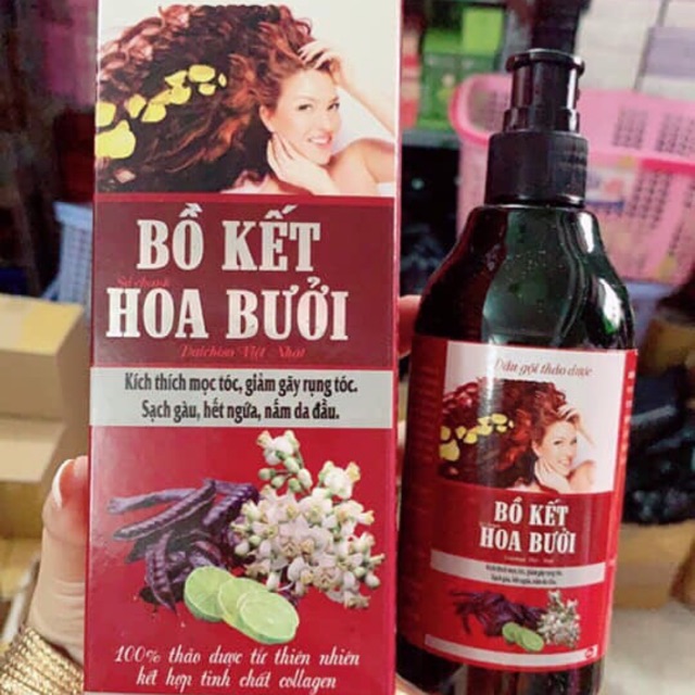 GỘI ĐẦU BỒ KẾT