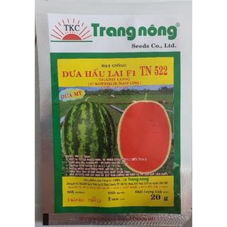 Dưa hấu lai f1 tn522 20gr của cty trang nông
