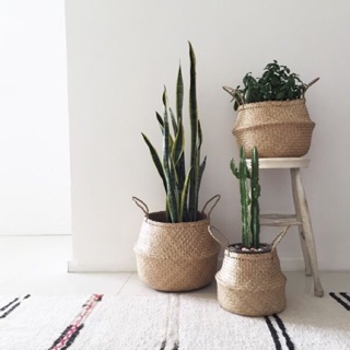 Giỏ cói đựng cây decor trang trí Size lớn
