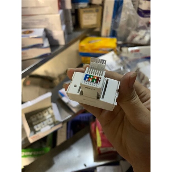 Hạt Mạng consep sino