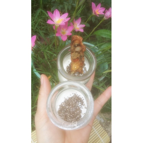 SỮA CHUA HY LẠP KEFIR