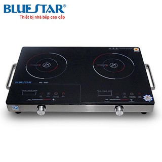 Bếp hồng ngoại BLUESTAR NG-02EI