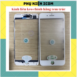 Kính liền keo iphone chĩnh hãng tem trúc 6g/6s/6p/6splus/7g/7plus/8g/8plus