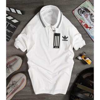 Áo Polo Thể Thao AD Viền Cổ
