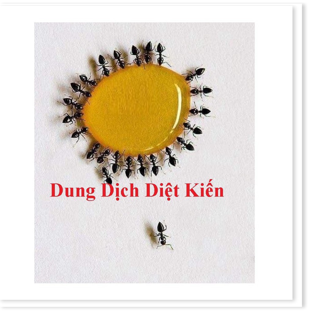 SZ  Dung dịch Diệt kiến Hanpet dạng dung dịch diệt kiến gián tận gốc An toàn cho sức khỏe trẻ em