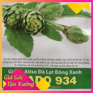 Hạt giống atiso đà lạt bông xanh 2gr