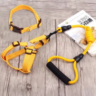 Dây dắt 3 in 1 ( Dây dắt, Vòng cổ, Đai bụng)