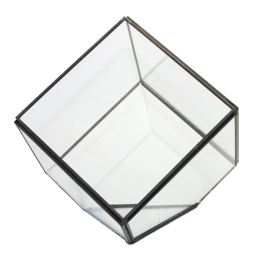 Chậu Kính Trồng Cây Kiểu Hình Học Hiện Đại