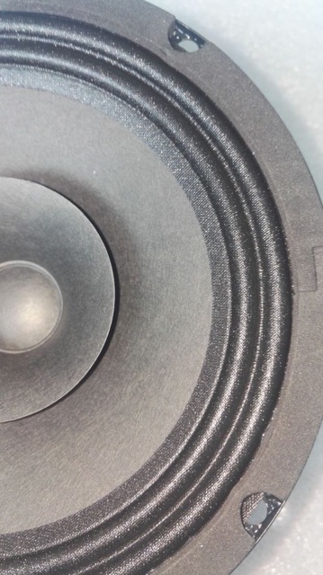 Loa toàn dải 6,5 inch