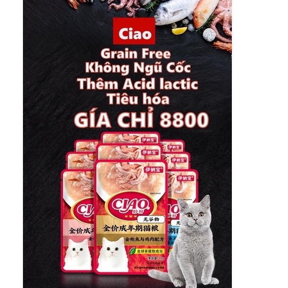 Pate Ciao Grain Free,Thêm Acid lactic tăng cường miễn dịch,kích thích tiêu hóa Gà,Cá ngừ,Cá Ngừ Bào