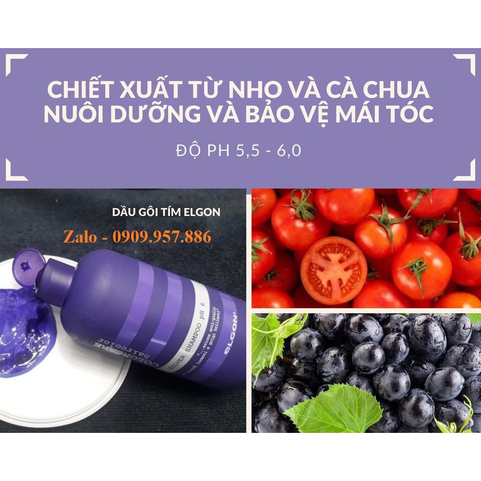 DẦU GỘI TÍM ELGON CHAI 300ML KHỬ VÀNG TỐT NHẤT THỊ TRƯỜNG HIỆN NAY