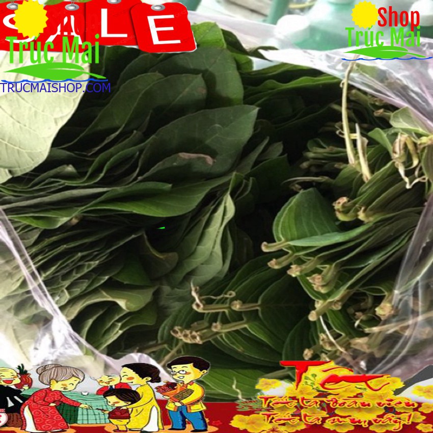 1kg lá ổi tươi-giao hàng siêu nhanh!