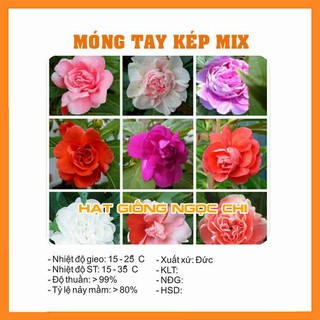 Hạt Giống Hoa Móng Tay Kép - 50 Hạt