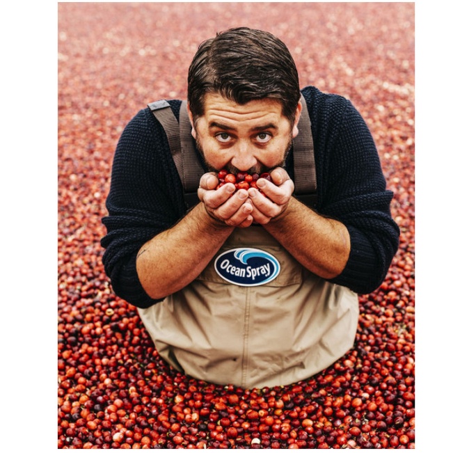 Nước Ép Nam Việt Quất Làm Cocktail Ocean Spray Cranberry Juice Cocktail Chai 1.89 L  - USA