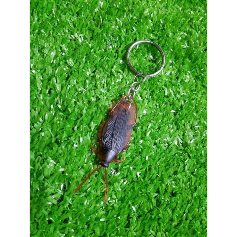 Móc khóa hình con gián như thật